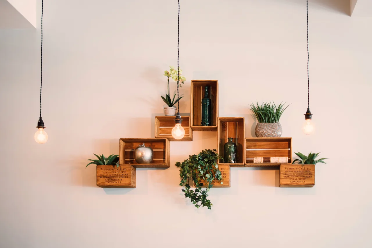 floating shelves with plants, generic stock